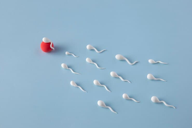 पुरुष वंध्यत्व (Male Infertility)