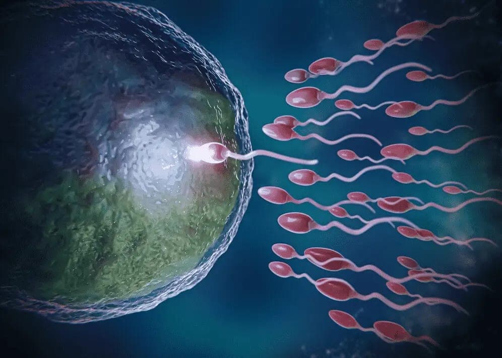 शुक्राणूची संख्या व गतिशीलता कमी असणे (Oligoasthenospermia)